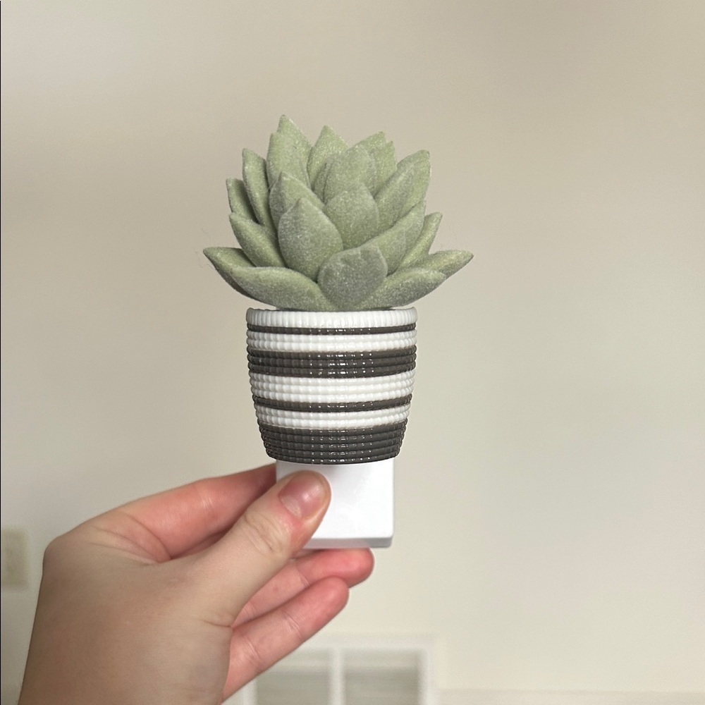 Bath & Body Works: Green Succulent Wall Plug In